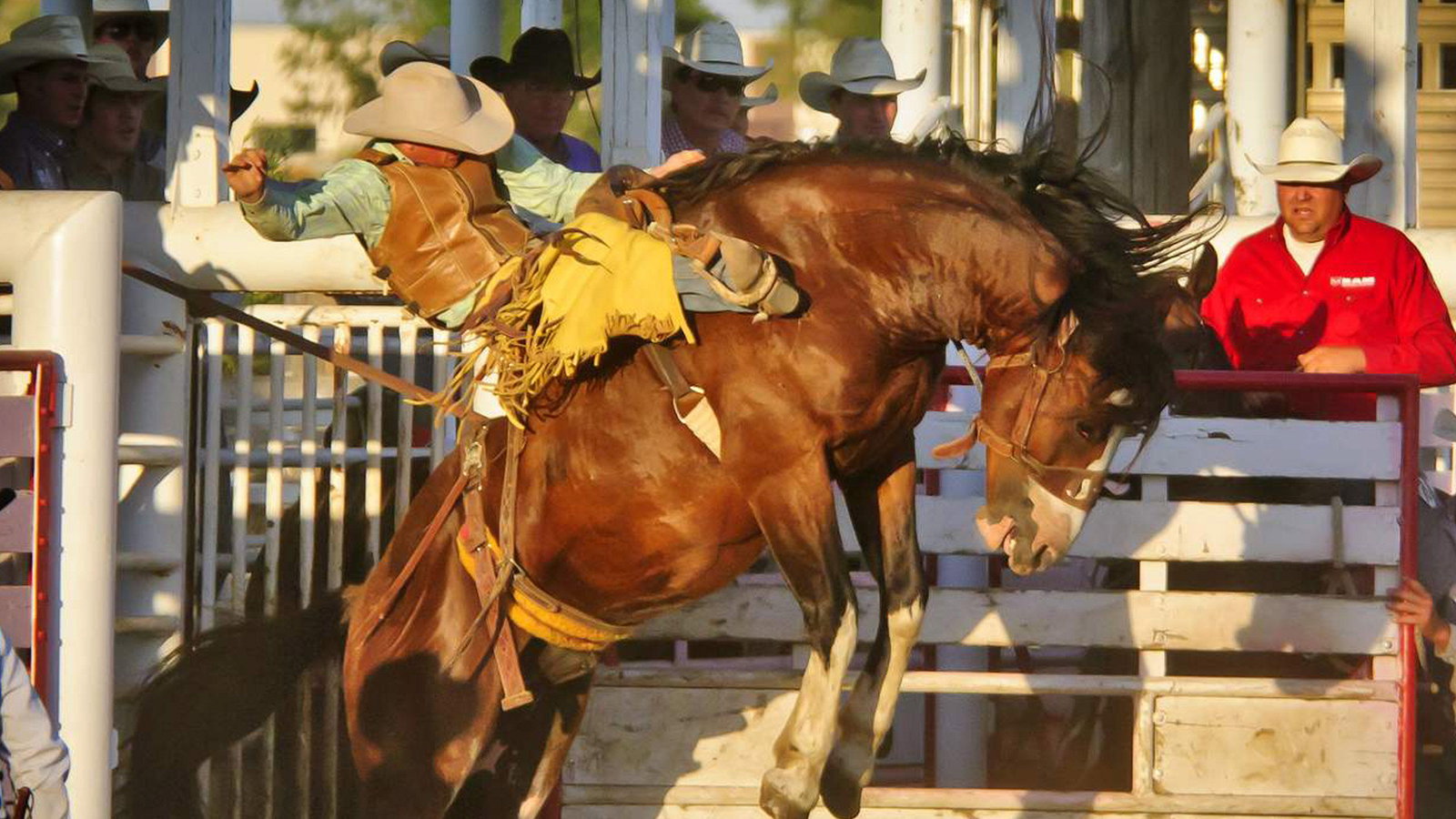 Wrangler Inn Mobridge - thumb 17