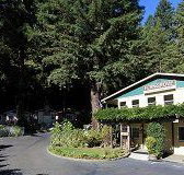 Fern Grove Cottages - Accommodation New York
