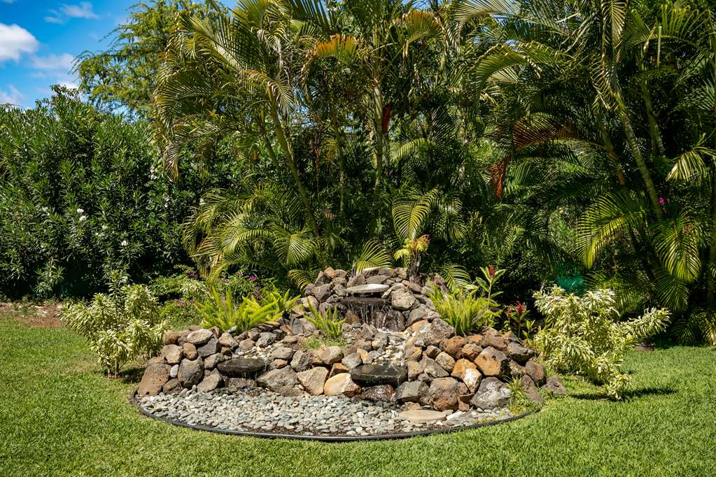 Aston At The Maui Banyan - thumb 13