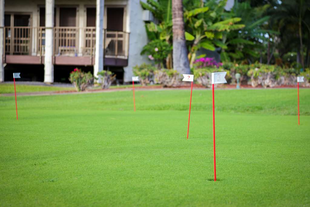 Aston Maui Hill - thumb 12