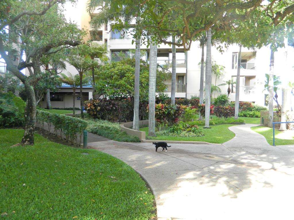 Sands Of Kahana - thumb 2