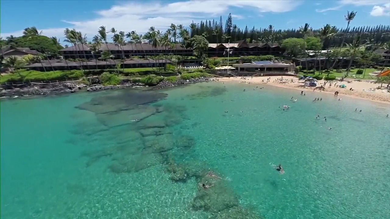 Napili Kai Beach Resort - thumb 0