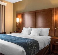 Comfort Suites Hotel - Accommodation New York