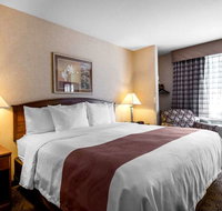 Quality Inn Hotel - Accommodation New York