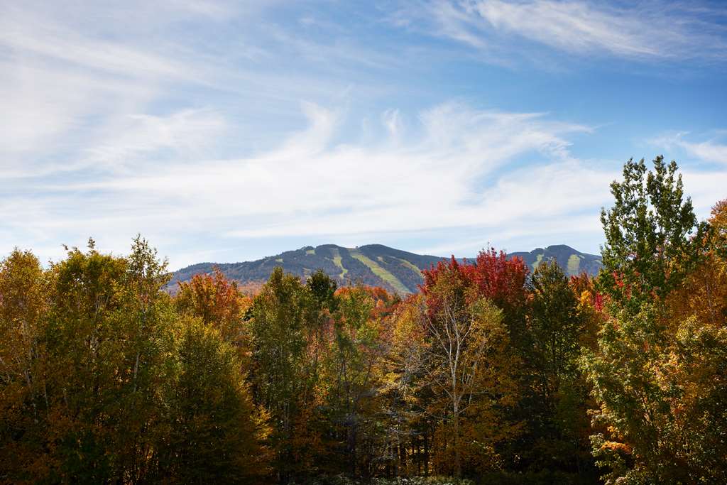 Killington Mountain Lodge - thumb 8