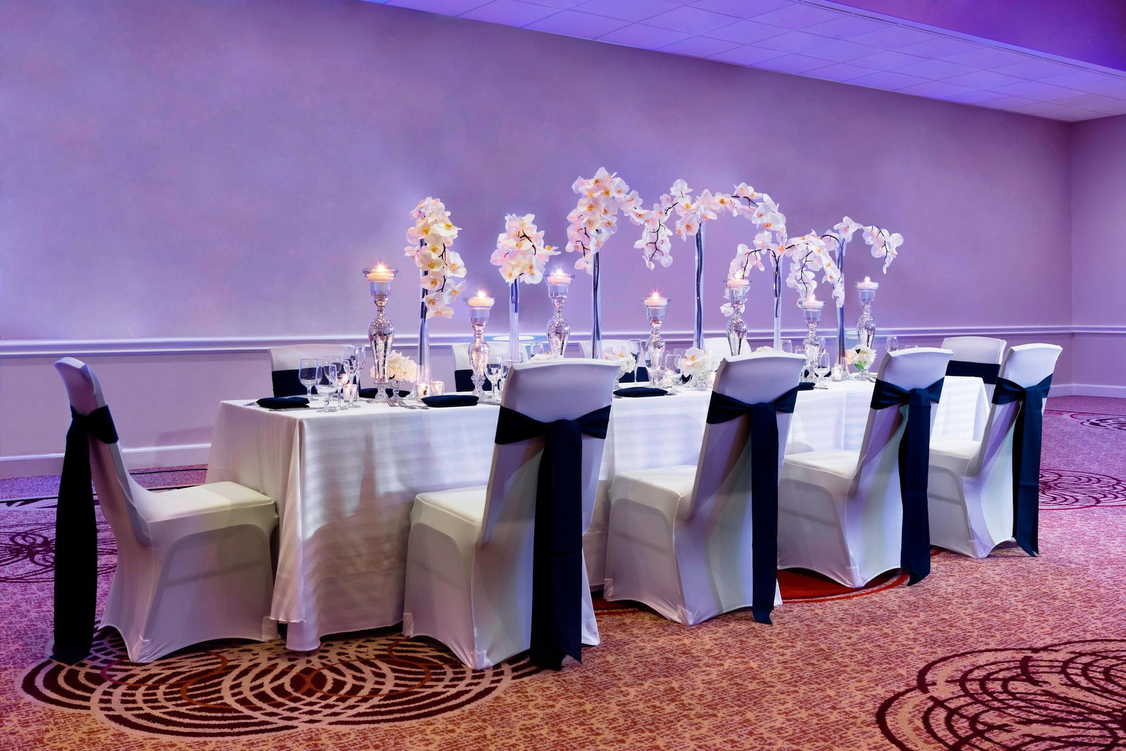 Sheraton Tampa Brandon Hotel - thumb 8