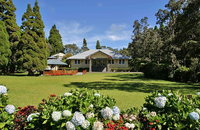 Volcano Hi Accommodation New York