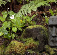 Volcano Village Lodge - Accommodation New York