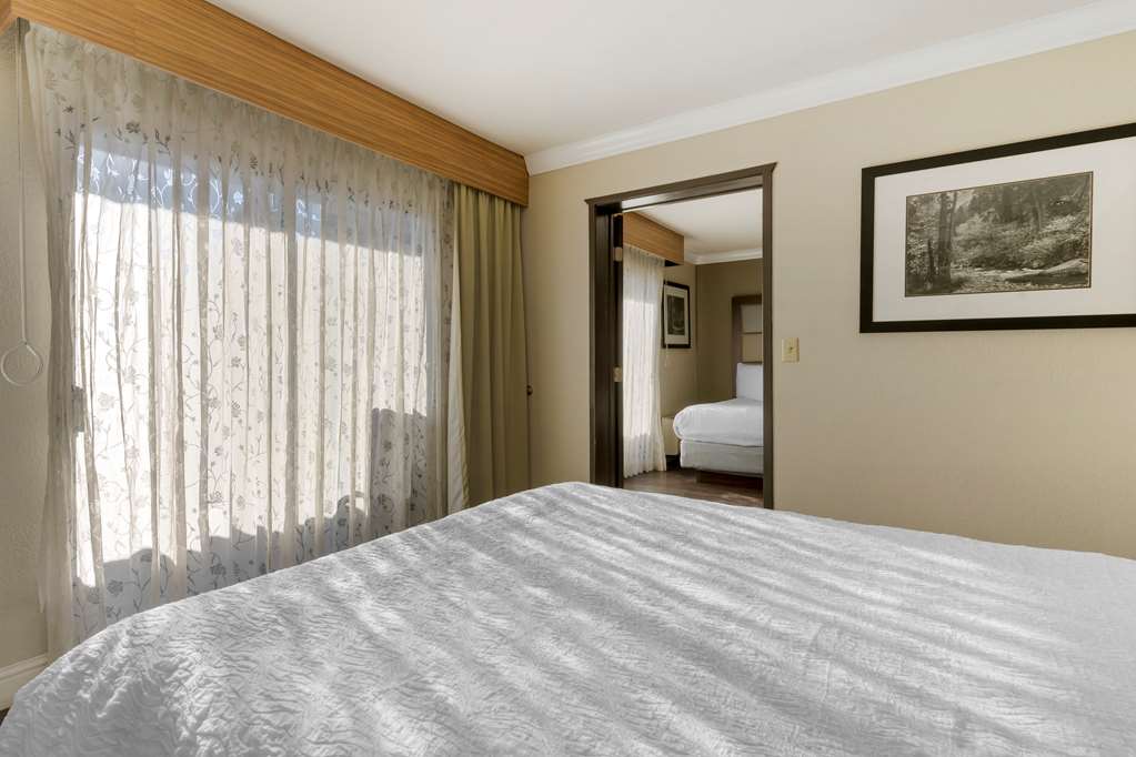 Best Western Plus Forest Park Inn - thumb 6