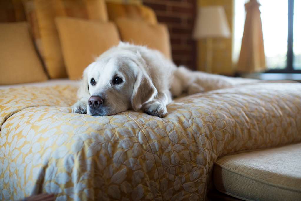 Napa River Inn - thumb 7