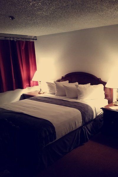 Beluga Lake Lodge - thumb 10