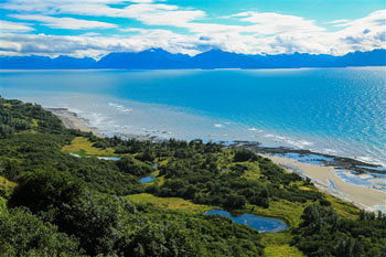Kenai Peninsula Suites - thumb 0