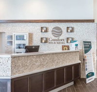 Comfort Inn  Suites Aberdeen - Accommodation New York