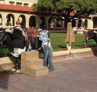 6-Hour Guided Best of Fort Worth Historical Tour - Accommodation New York