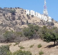 Half Day Hollywood and Beverly Hills Tour - Accommodation New York
