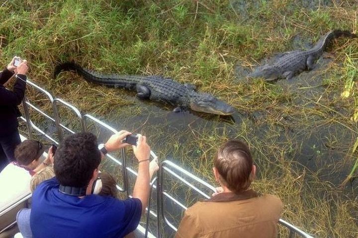 Everglades Tour in Miami