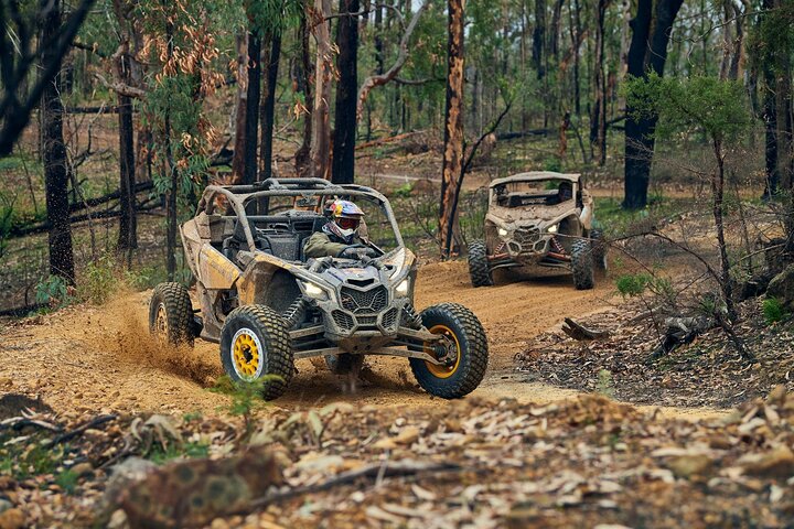UTV Rental In Wickenburg - thumb 3