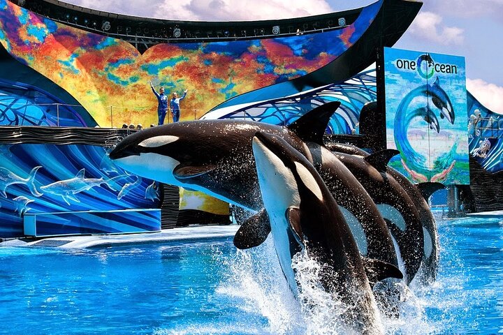 BEST San Diego&SeaWorld Day Tour From Los Angeles - thumb 0