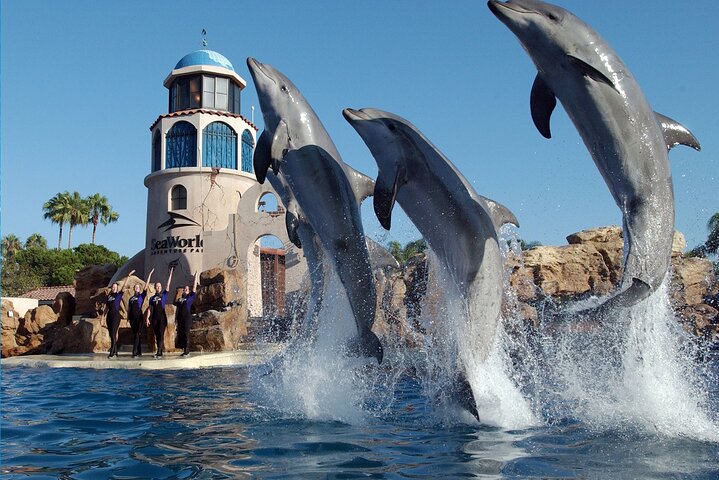 BEST San Diego&SeaWorld Day Tour From Los Angeles - thumb 1