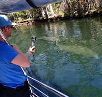 Manatee Viewing Cruise - Accommodation New York