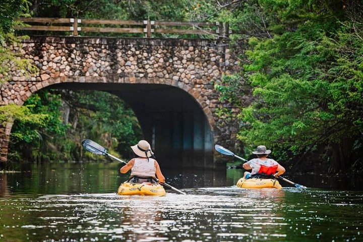 Wild  Scenic Loxahatchee River Guided Tour