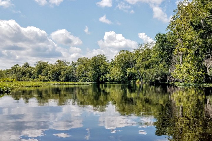 Guided Manatee Kayaking Tours through Blue Spring State Park