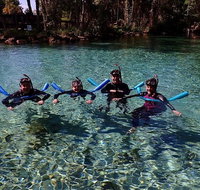 Small group Manatee snorkeling tour with in water guide - Accommodation New York
