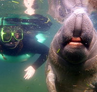Private Manatee Tour - Accommodation New York