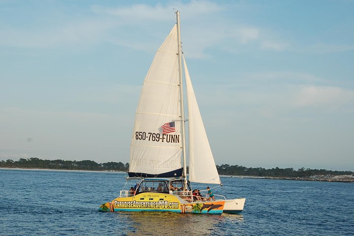 Dolphin Sightseeing Tour on The Footloose Catamaran from Panama City Beach
