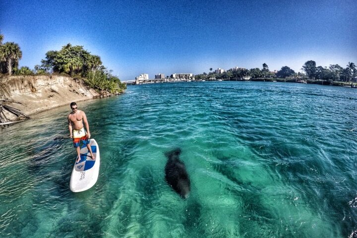 Paddle Boarding Eco Adventure Tour Jupiter Florida - Singer Island - thumb 1