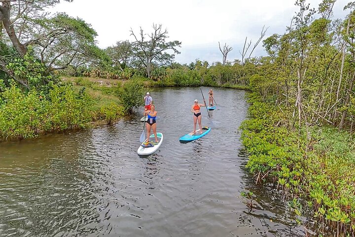Paddle Boarding Eco Adventure Tour Jupiter Florida - Singer Island - thumb 3