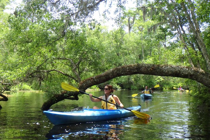 Guided Family Friendly Kayak Tour Experience Old Florida