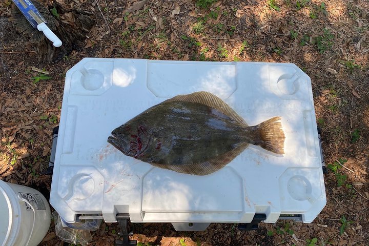 Flounder Gigging and Bowfishing Night Charter