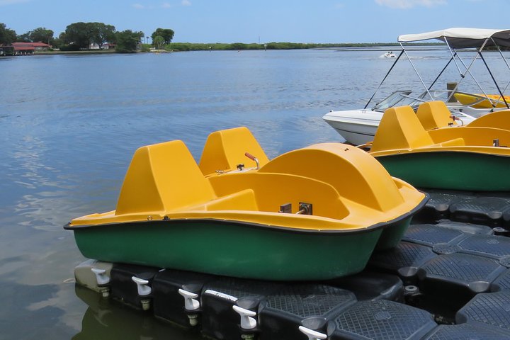Family Friendly Pedal Boat Rental