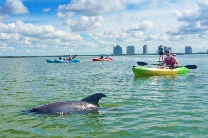 Paddle Naples - Mangrove Tour By Kayak And Paddleboard - thumb 1