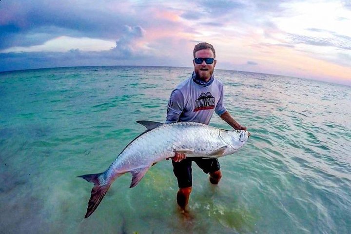 Paddle Naples - Mangrove Tour By Kayak And Paddleboard - thumb 2