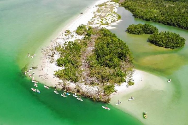 Paddle Naples - Mangrove Tour By Kayak And Paddleboard - thumb 4