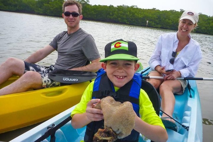 Paddle Naples - Mangrove Tour By Kayak And Paddleboard - thumb 5