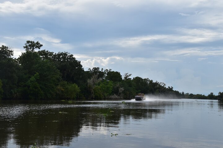 Airboat Ride in Panama City Beach