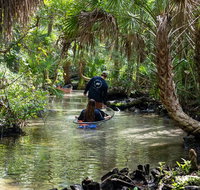 Clear Kayak Tours on Chassahowitzka River - Accommodation New York