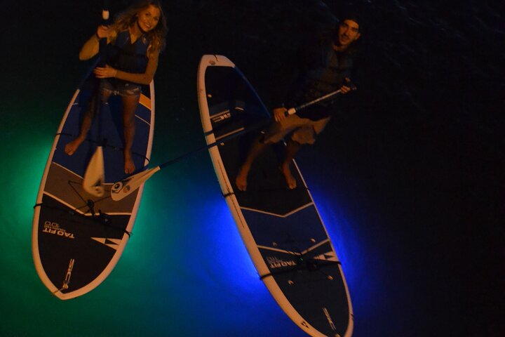 LED Night Light Clear Bottom Kayak Or Paddleboarding Bio Comb Jelly Tour - thumb 0