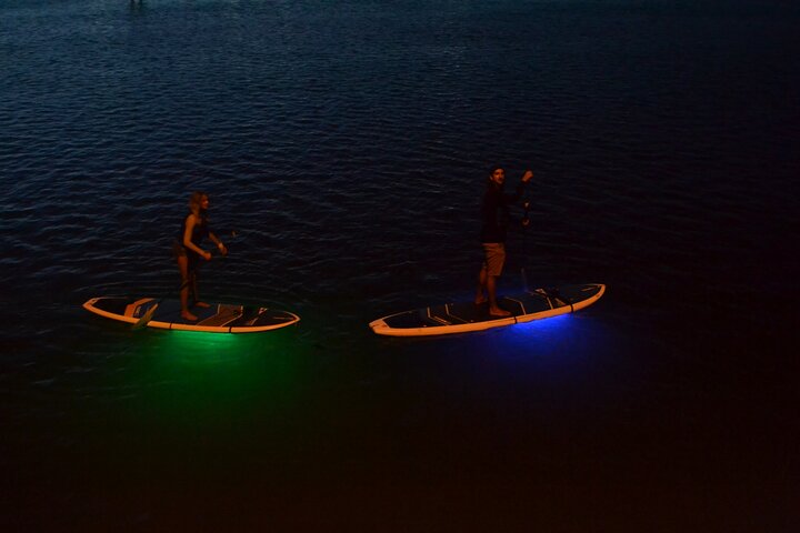 LED Night Light Clear Bottom Kayak Or Paddleboarding Bio Comb Jelly Tour - thumb 1