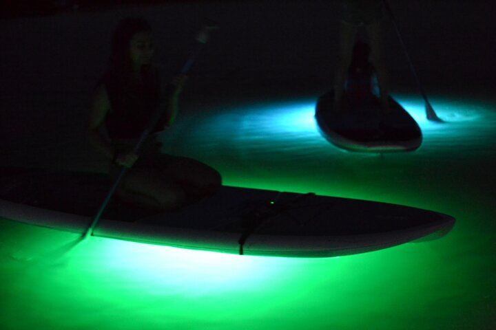 LED Night Light Clear Bottom Kayak Or Paddleboarding Bio Comb Jelly Tour - thumb 2