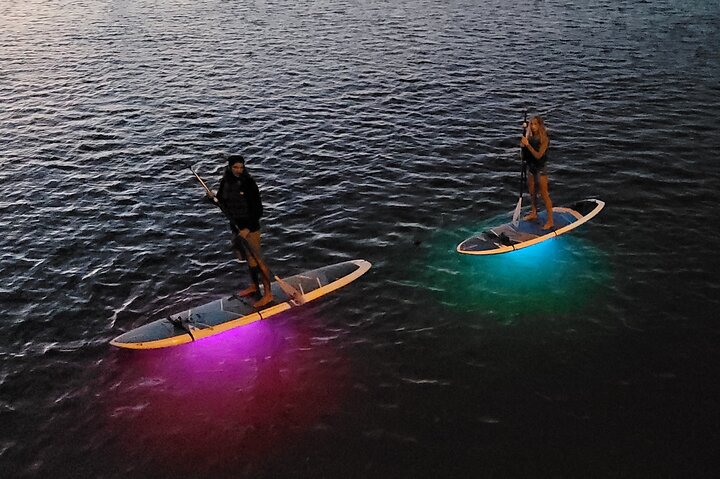 LED Night Light Clear Bottom Kayak Or Paddleboarding Bio Comb Jelly Tour - thumb 5