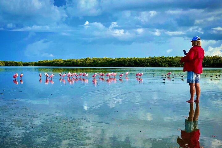 Private Coastal Everglades Eco Tour - thumb 5
