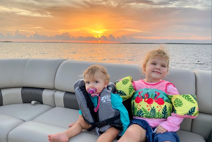 Daytime Dolphin Cruise - thumb 4