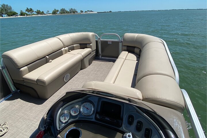 Daytime Dolphin Cruise - thumb 5