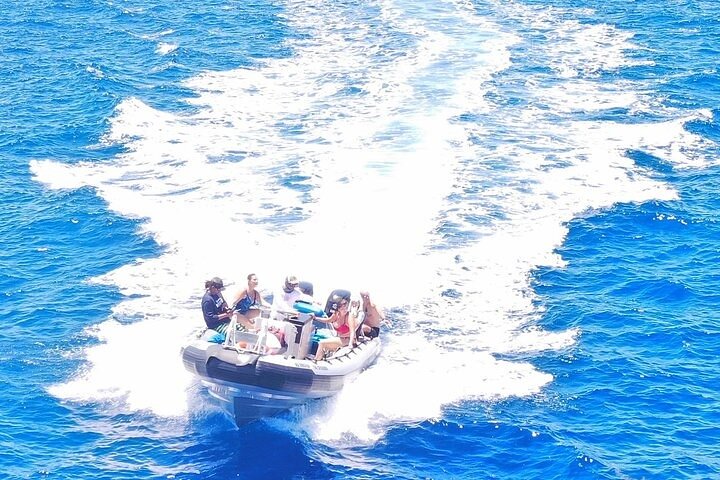 COMBO: Marine Wildlife & Reef Snorkel Adventure - Navy SEAL Boat, 14 Guest Max! - thumb 5