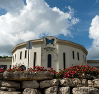 Branson Butterfly Palace Admission Ticket - Accommodation New York