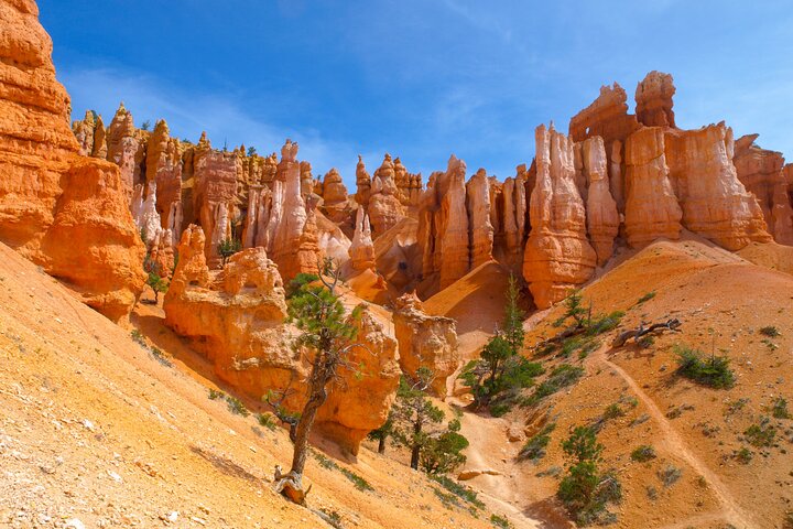 BEST Utah-Zion&Bryce Canyon National Park Day Tour From Las Vegas - thumb 0